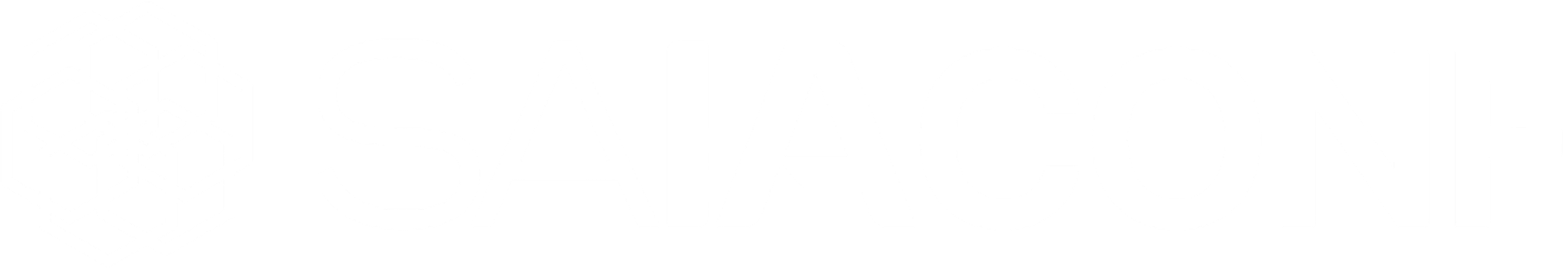 SAIA Conf